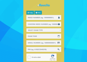 BECE Results Checker Portal