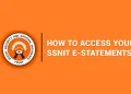 SSNIT e-statement