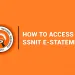 SSNIT e-statement