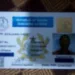 NTC Teachers' License Card