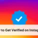 Instagram Verification