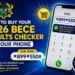Code to Buy Your 2026 BECE Results Checker on Your Phone